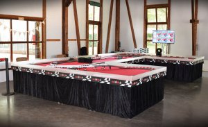 Sommerfest Vector Informatik GmbH (2016)